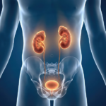 Urinary Symptoms Bladder Health